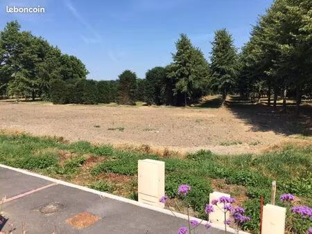 terrain 395 m² odomez