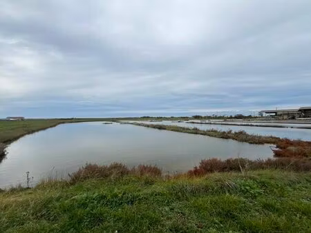 vente maison 85 m² nieulle-sur-seudre (17600)