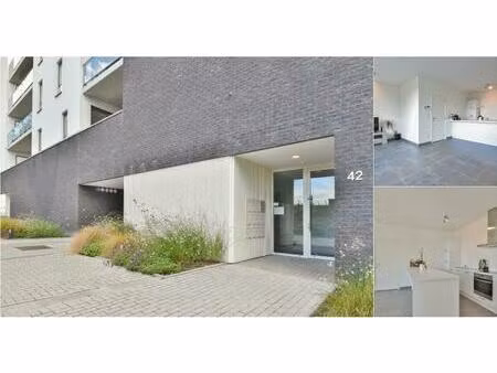 appartement à louer à avenue de mirande 42 tubize (vbd43145)