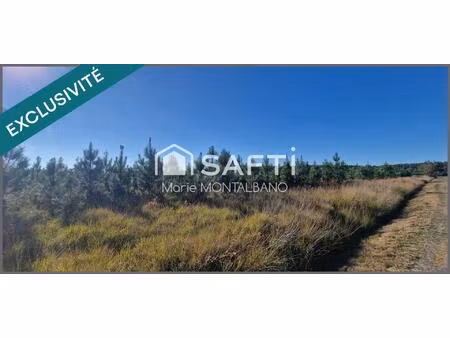 vente terrain 60400 m² biganos (33380)