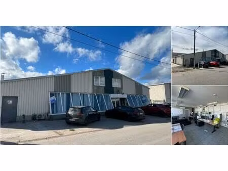 surface industrielle à louer à industrieweg 4 kortessem (rbu55748)