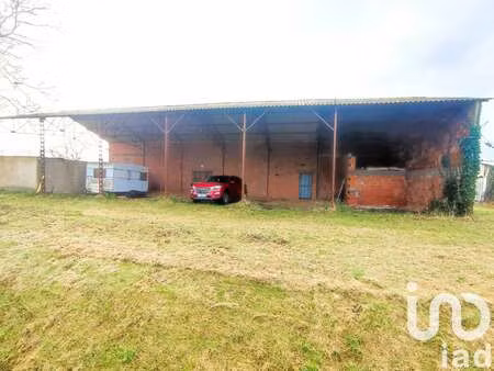 vente terrain à nègrepelisse (82800) : à vendre / 2595m² nègrepelisse