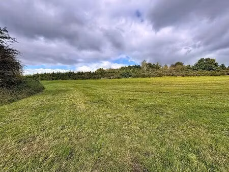 terrain à vendre de 4912 m² à houffalize (vbd42971)