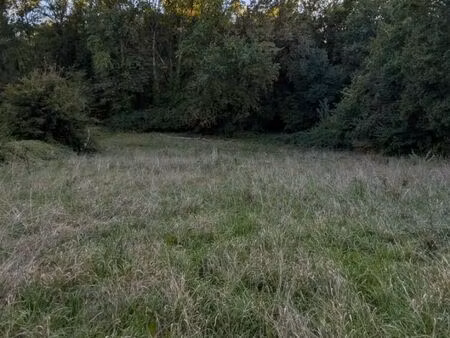 vente terrain 2841 m² colayrac-saint-cirq (47450)