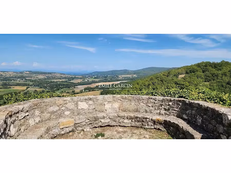 vente maison 8 pièces 159 m² à montjustin (04110)  690 000 €