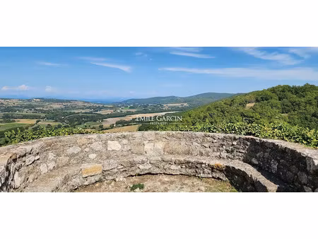 vente maison 8 pièces 159 m² à montjustin (04110)  855 000 €