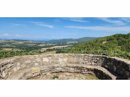 maison avec jardin montjustin (04)