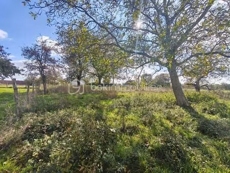 terrain constructible viabilisé à vendre