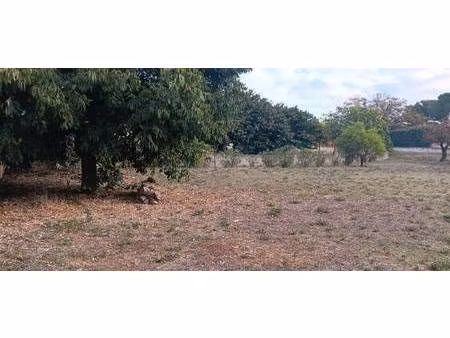 terrain constructible viabilisé à vendre