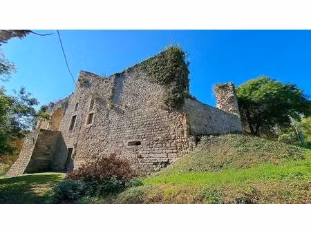 château à vendre