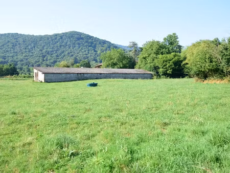 vente terrain 3600 m² à salies-du-salat (31260)  28 000 €