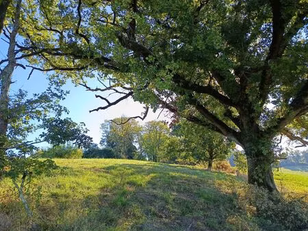 vente terrain montdurausse (81630)