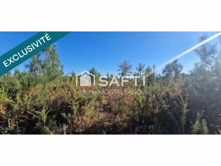 vente terrain 59300 m² à biganos (33380)  38 545 €