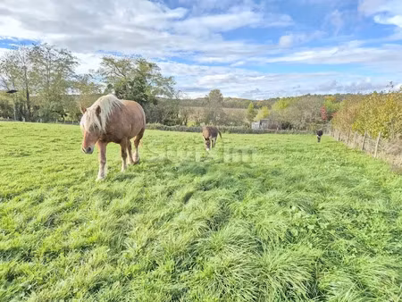 vente terrain à batir 1000 m² à mercey-le-grand (25410)  49 000 €