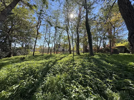 vente terrain 854 m² à saint-yzan-de-soudiac (33920)  49 000 €