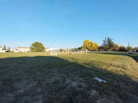 terrain castelsarrasin quartier gandalou 6500 m2