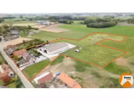 herne - paardenaccommodatie met woning op 2 4ha