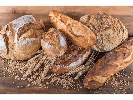 vente locaux professionnels 220 m² à rochefort-sur-nenon (39700)  470 000 €