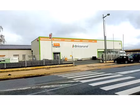 vente locaux professionnels 5000 m² à saint-amand-montrond (18200)  390 000 €