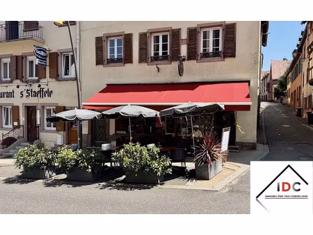 vente locaux professionnels 80 m² à saverne (67700)  131 800 €