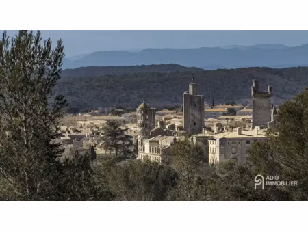 vente locaux professionnels 50 m² à uzès (30700)  130 000 €