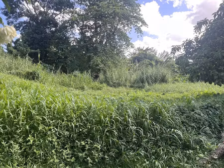 vente terrain à batir 1342 m² à saint joseph (97212)  218 000 €