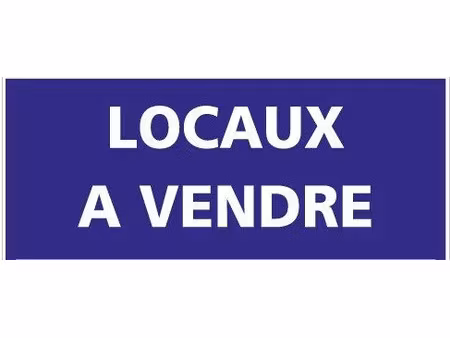 vente locaux professionnels 0 pièces 600 m² à rohan (56580)  369 500 €