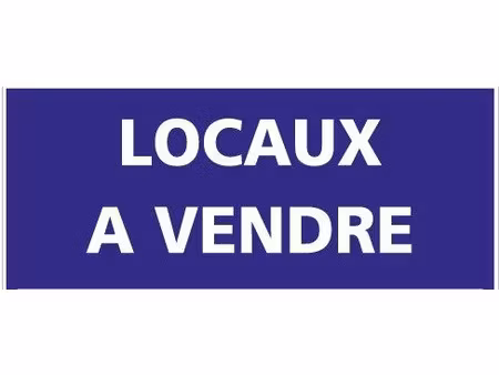vente locaux professionnels 600 m² à rohan (56580)  369 500 €