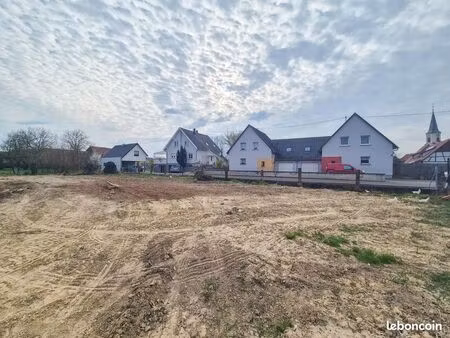terrain 767 m2 + 240 m2 limersheim
