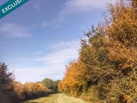 forêt de chasse de 69 hectares à benon