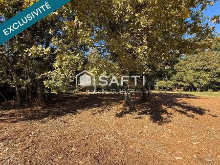 terrain à bâtir 2800 m2 proche du centre