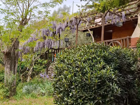 sospel : maison en vente avec plage et sommet immobilier