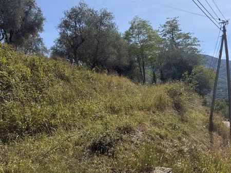 superbe terrain plein sud complanté d'oliviers avec accès vo