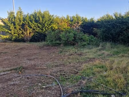 terrain constructible