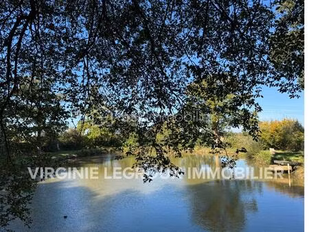 terrain de 7 023 m² à saint-pierre-la-cour