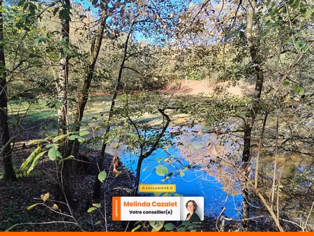 parcelle boisée sur amou