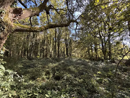 'un écrin de verdure préservé  rare et recherché aux portes