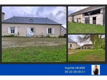 ensemble immobilier de charme à chateau la vallière