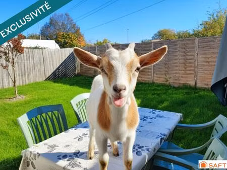 appartement quasi neuf  avec jardin (> 60 m2)