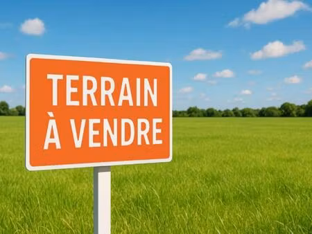 terrain viabilisé- idéal pour votre future maison !