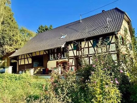 maison alsacienne rénovée avec grange et dépendances sur 26 ares