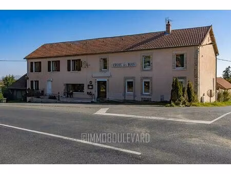 vente maison 17 pièces 346 m² lalizolle (03450)