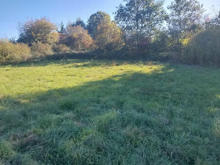 achat terrain 2 399m²