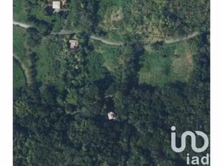 vente surface diverse 6 350 m²  martinique