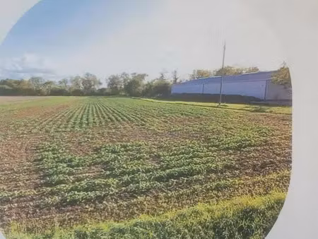 terrain viabilise a vendre