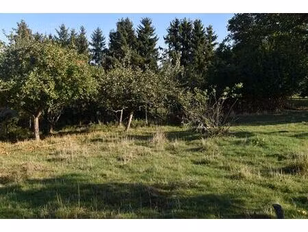 terrain constructible cheppy 1778 m2