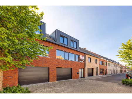 huis te koop in stabroek met 4 slaapkamers