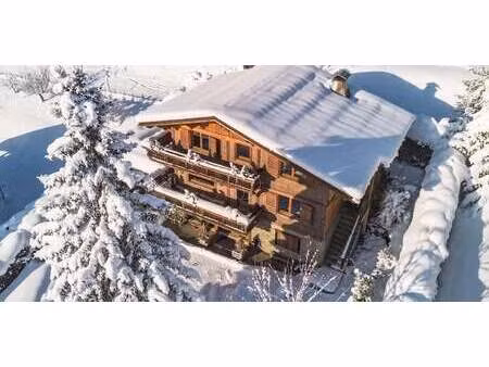chalet avec vue panoramique et terrasse demi-quartier (74)
