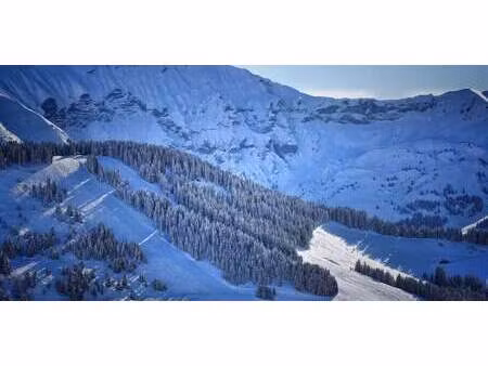 terrain avec vue panoramique megeve (74)