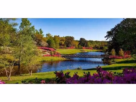 propriété avec piscine adainville (78)